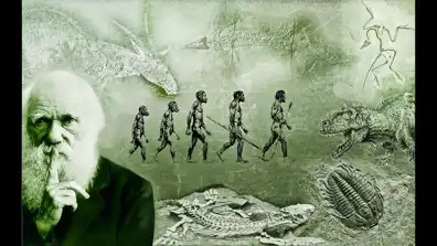 Watch and Download What Darwin Never Knew 1