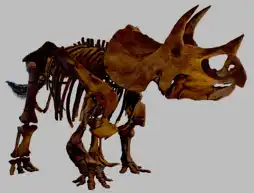 Watch and Download When Dinosaurs Roamed America 10