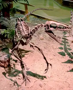 Watch and Download When Dinosaurs Roamed America 12