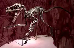 Watch and Download When Dinosaurs Roamed America 15