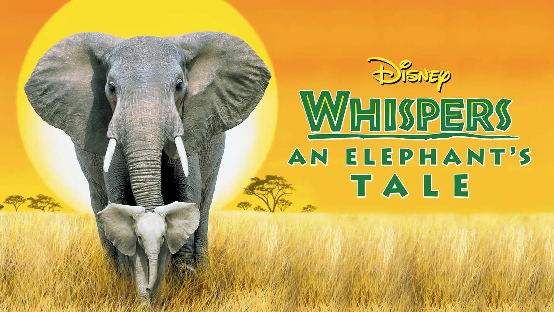 Watch and Download Whispers: An Elephant's Tale 11