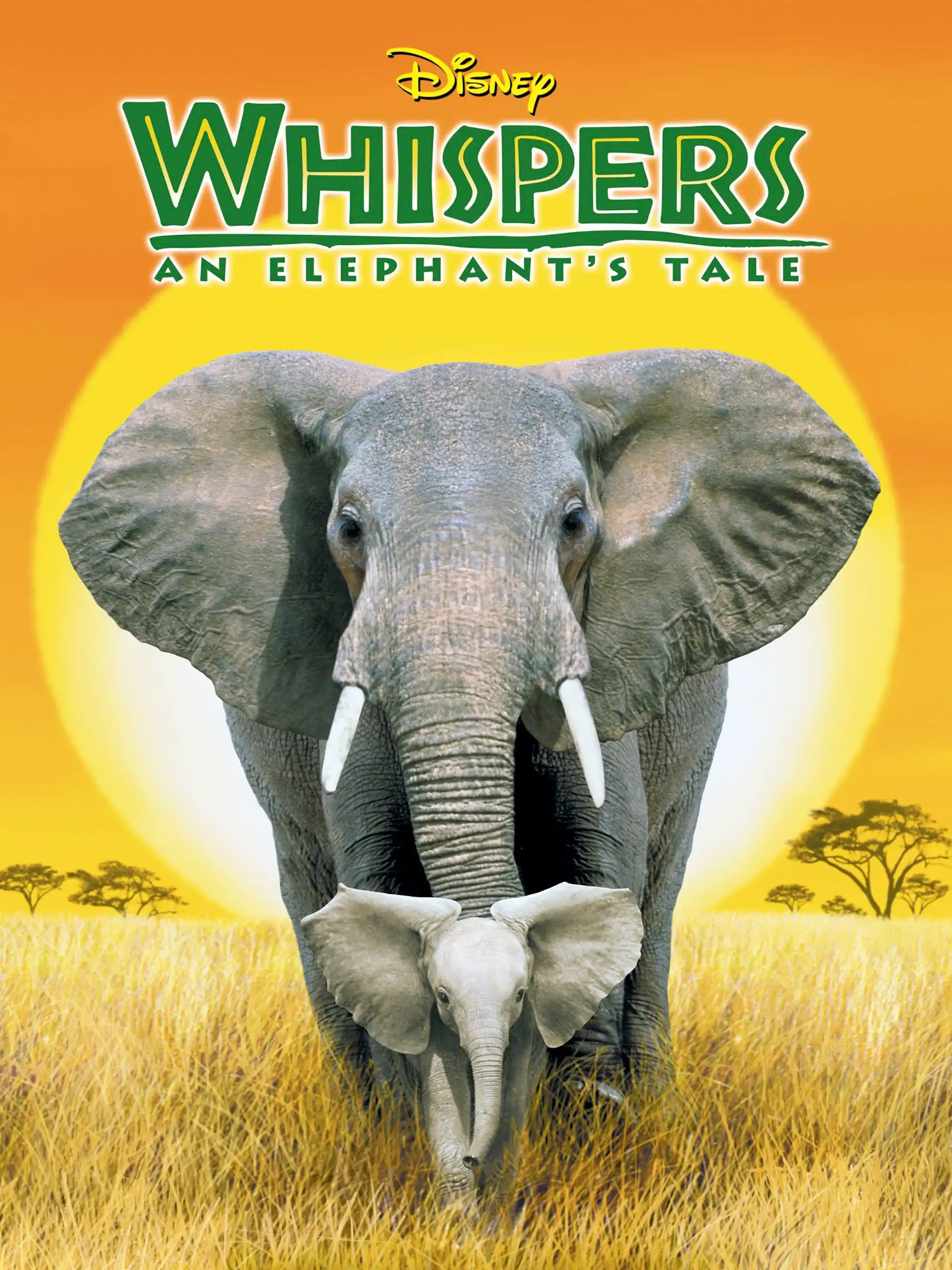 Watch and Download Whispers: An Elephant's Tale 13