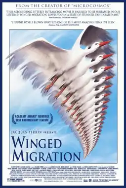 Watch and Download Winged Migration 11