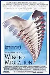 Watch and Download Winged Migration 13