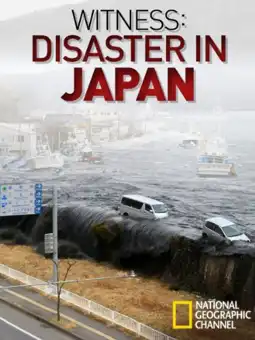 Watch and Download Witness: Disaster in Japan 2