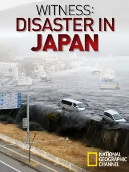 Watch and Download Witness: Disaster in Japan 3