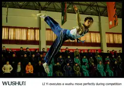 Watch and Download Wushu 6