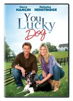 Watch and Download You Lucky Dog 3