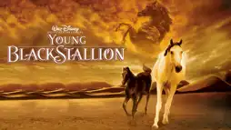 Watch and Download Young Black Stallion 3